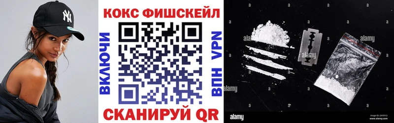 Cocaine FishScale  как найти   Спасск-Рязанский 