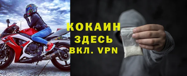 гашик Арсеньев