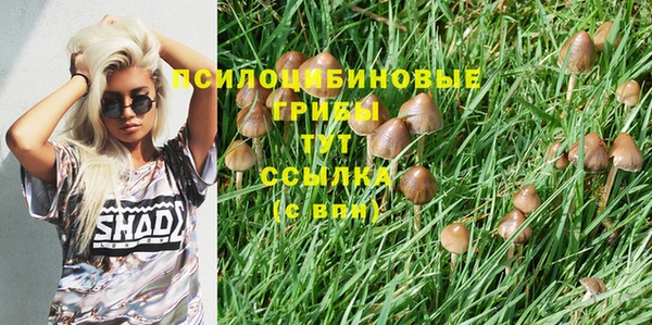 MDMA Premium VHQ Аркадак