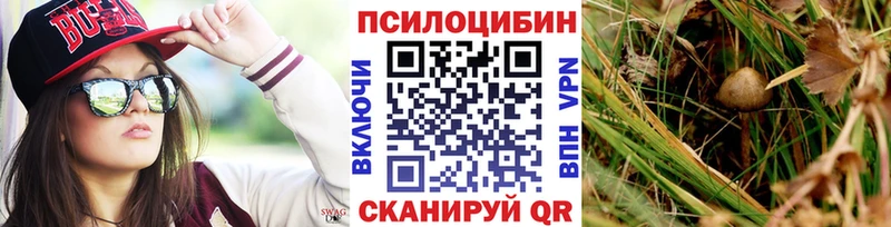 площадка официальный сайт  наркота  Спасск-Рязанский  Псилоцибиновые грибы мухоморы  ссылка на мегу рабочий сайт 